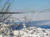 107-0754_IMG.JPG (120795 Byte)